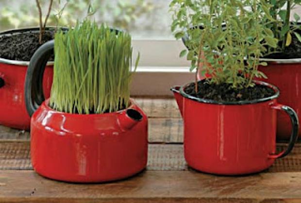 Como Plantar em Recipientes Reciclados: Dicas Decoração, Meio Ambiente