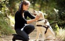 Lei que Garante Direito a Deficiente Visual com Cão-Guia é Descumprida