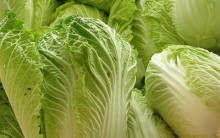 Benefícios da Acelga à Saúde: Vitamina, Uso Medicinal, Valor Alimentar