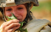 Alistamento Militar Feminino: Inscrição, Concursos, Cargos na FAB, Site