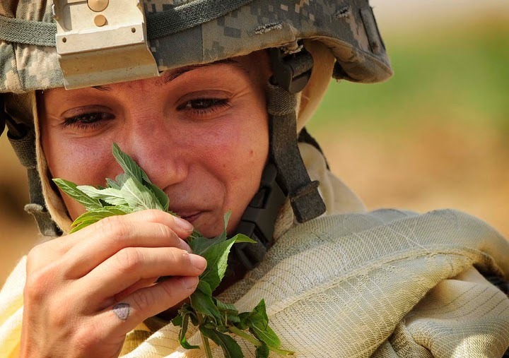 Alistamento Militar Feminino: Inscrição, Concursos, Cargos na FAB, Site