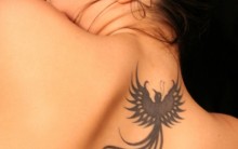 Tatuagem Feminina nas Costas de Fênix: Modelos, Cores, Tamanhos, Fotos