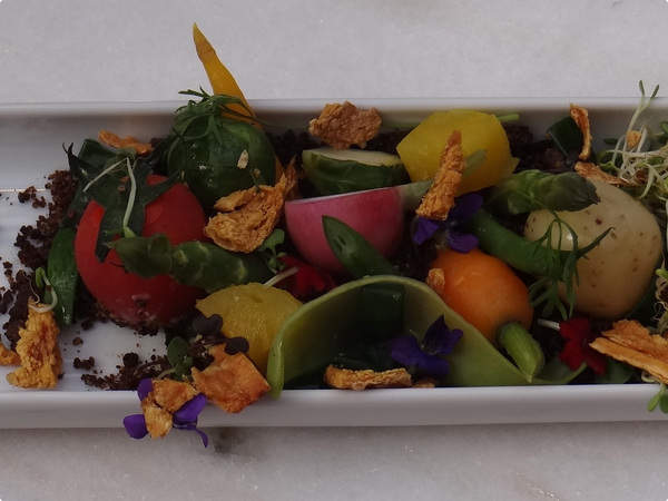 Receita de Salada de Legumes do Super Chef Celebridades Mais Você 09/08