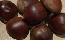 Benefícios Castanha à Saúde Valor Nutricional, Vitamina, Como Preparar