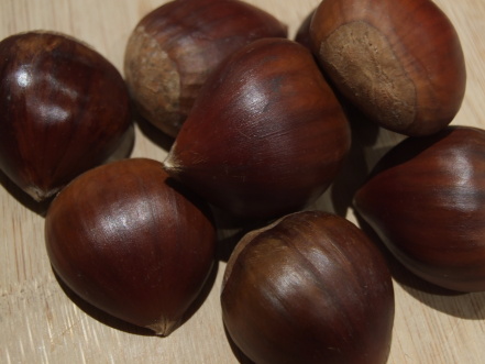 Benefícios Castanha à Saúde Valor Nutricional, Vitamina, Como Preparar