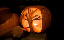 Escultura de Abóbora: Como Fazer Escultura para Halloween, Foto, Vídeo