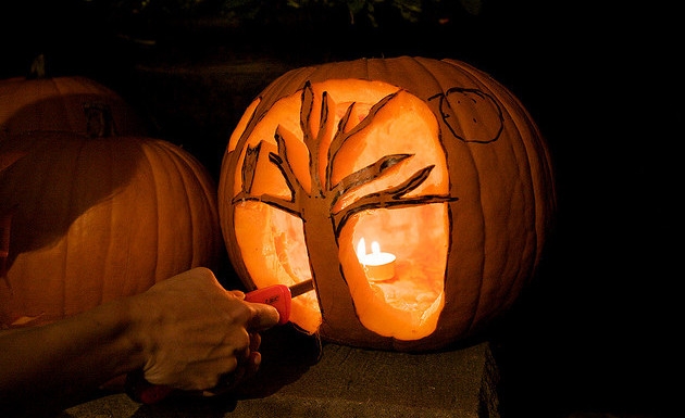Escultura de Abóbora: Como Fazer Escultura para Halloween, Foto, Vídeo
