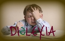 Dislexia: Mitos e Verdades da Dificuldade de Aprendizado, Tudo sobre