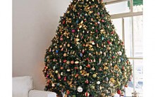 Enfeites de Natal na Decoração: Artigos Baratos e Recicláveis, Vídeo