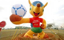 Foto e Nome do Mascote Oficial Copa do Mundo de 2014: Tatu-bola Fuleco