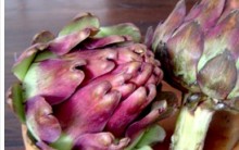 Benefícios da Alcachofra à Saúde: Vitaminas, Uso Medicinal, Indicações