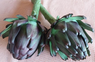 vitaminas-benefícios-alcachofra-indicação