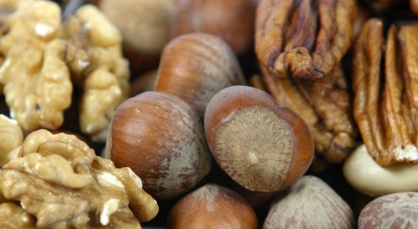 Alimentos Ricos em Calorias – Benefícios e Perigos