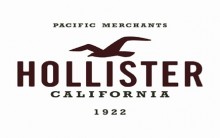 Camisetas Hollister Femininas e Masculinas: Preço, Comprar Online