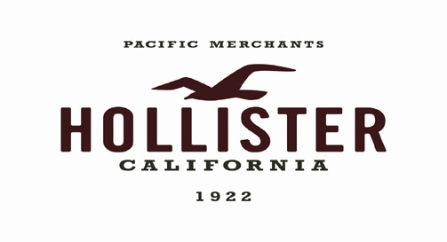 Camisetas Hollister Femininas e Masculinas: Preço, Comprar Online