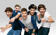 Agenda de Shows One Direction 2013 2014: Comprar Ingressos pelo Site