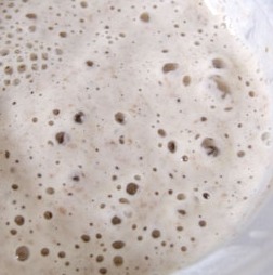 Como Fazer Fermento em Casa: receita de Fermento Natural Caseiro Fácil