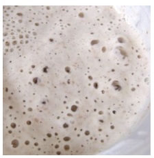 receita-de-fermento-natural-caseiro