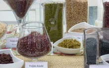 Benefícios do Feijão, Tipos Feijão, Vitaminas, Dicas como fazer feijão