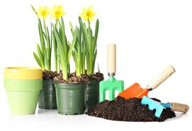 Adubo Orgânico: Como Fazer Adubo em Casa, Composto Orgânico Caseiro
