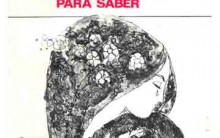 Livro “É tarde para saber”, de José Guimarães: Resumo e Personagens