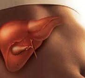Esteatose Hepática: Causa, Diagnóstico, Sintomas, Cuidados, Cura