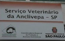 Endereço Hospital Público para Animais – Hospital Veterinário