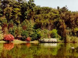 serra-gaucha-petropolis