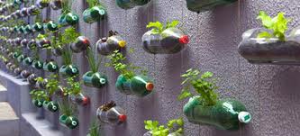horta-vertical-garrafa-pet