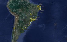 Acompanhar Voos: Informação Real Online de Voo Nacional, Internacional