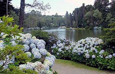 Gramado: Turismo, Hotel, Dicas e Fotos da Cidade Turística Brasileira