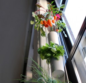 horta-vertical-janela