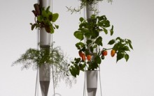 Horta vertical Sem Terra – Hidroponia Dicas de como Fazer em Casa