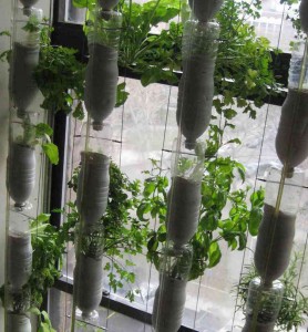 window-farms-horta-vertical