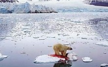 Aquecimento global Alterações climáticas, Consequências, Efeito Estufa