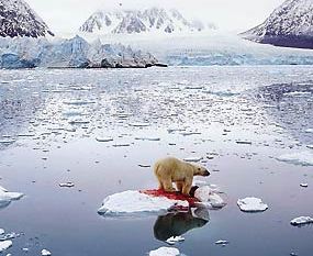 Aquecimento global Alterações climáticas, Consequências, Efeito Estufa
