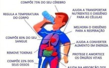 Como Manter o Corpo Hidratado: Dicas Importante para Manter Boa Saúde