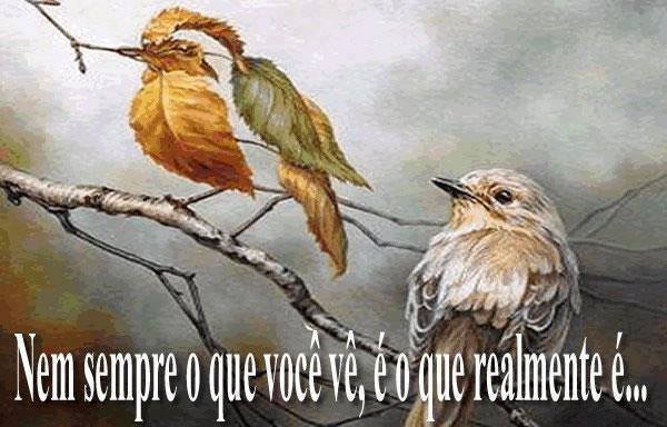 Frases para Facebook: Lindas Mensagem, Recados Online
