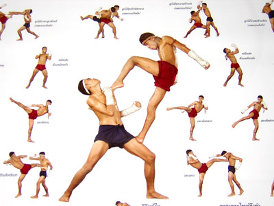Corpo Perfeito com Artes Marciais: Boxe, Judô, Jiu Jitsu, Muay Thai