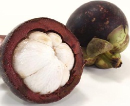 Mangostin: Benefícios da Fruta, Faz Emagrecer, Vitaminas