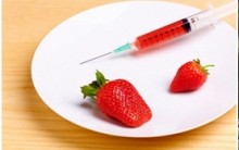 Alimentos transgênicos, OGM’s – Como são feitos, riscos, polêmicas