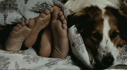 Mato sem Cachorro – Filme comédia romântica, Trailer, Enredo, Elenco