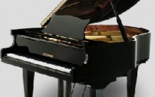 Piano Fritz Dobbert: Como é feito, Onde Comprar, Modelos com Fotos