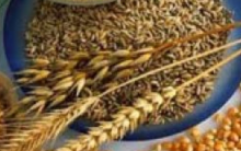 Alimentos Integrais – Benefícios, Quantidade Diária, Onde Encontrar