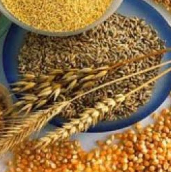 Alimentos Integrais – Benefícios, Quantidade Diária, Onde Encontrar