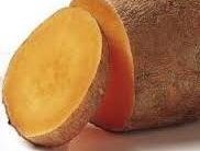 Batata Yacon – Benefícios à Saúde, alimento para Diabéticos