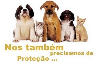 Denunciar maus tratos em animais – Tipos de Maus Tratos, Onde Ligar