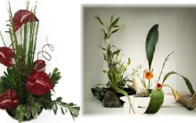 Ikebana – Arranjo de Flores, Significado, Origem, Estilos, Fotos