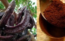 Alfarroba – Fruta que Substitui Cacau no Chocolate, Benefícios à Saúde