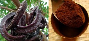 alfarroba-em-pó-chocolate